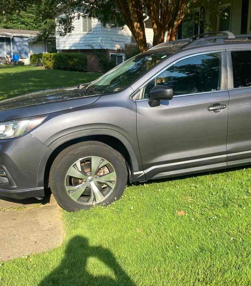 Auto Detailing